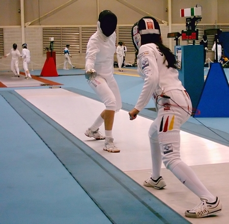 fencing-double-1315228