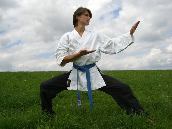 karate-1-1436519